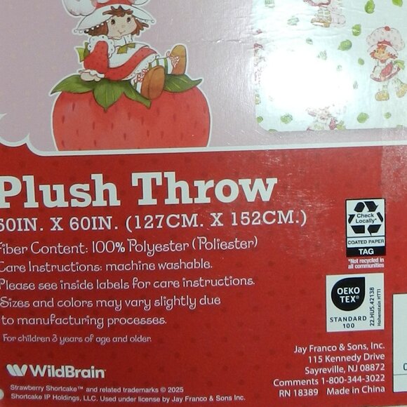 Strawberry Shortcake 🍓🍰Plush Throw/Blanket 2025🍰 50" X 60"🆕⌚📦🏃💨🚚 - Picture 10 of 16